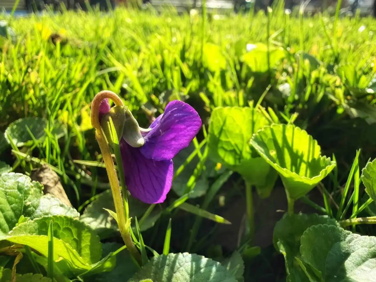 Янина Павленко: С добрым утром, любимый город Со стартом новой рабочей недели! И, конечно, с годовщиной Общекрымского Референдума – главным предвестником Крымской весны Янина Павленко: С добрым утром, любимый город Со стартом новой рабочей недели! И, конечно, с годовщиной Общекрымского Референдума – главным предвестником Крымской весны