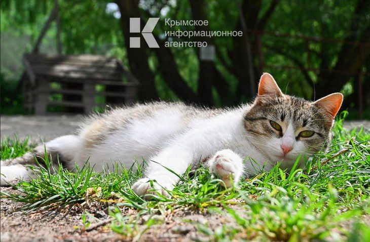 На следующей неделе в Крым, наконец, придёт устойчивое тепло