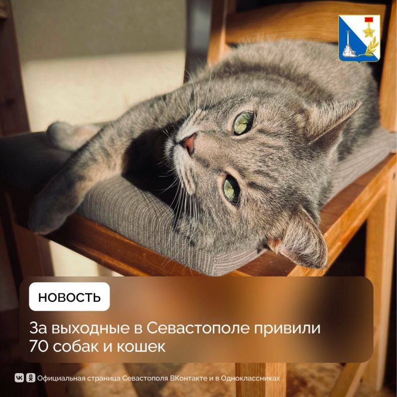 �� �������� ������������ ������������� 70 ����� � �����