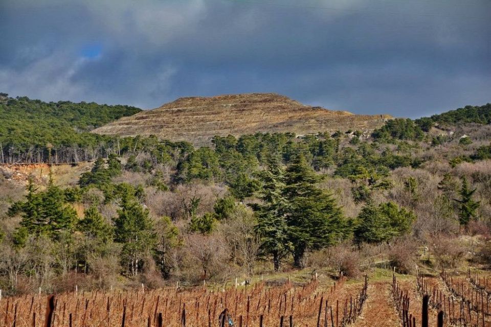 ����� �������: ������� ������� ��������� �� ������� ���������� �������������� �������� ��� � ��� ������