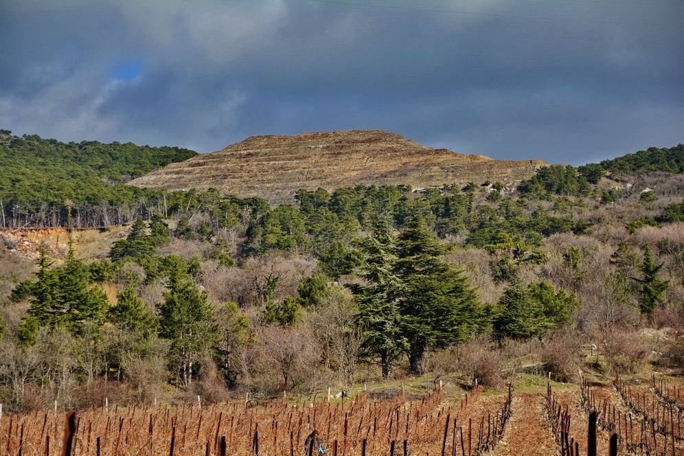 Ольга Шевцова: Сегодня провела совещание по вопросу ликвидации недействующего полигона ТКО в пгт Гаспра Ольга Шевцова: Сегодня провела совещание по вопросу ликвидации недействующего полигона ТКО в пгт Гаспра