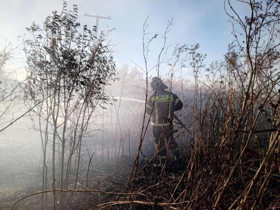 ����� �� 250 ����������� ����� � ��������