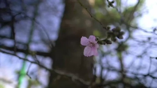 ����� ��������: � ������ �����, ������� ����� �� ������� ����� ������� ������! �, �������, � ���������� ������������� ����������� � ������� ������������� �������� �����