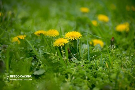 Доброе утро, Евпатория!. Температура воздуха поднимется сегодня до +11°С