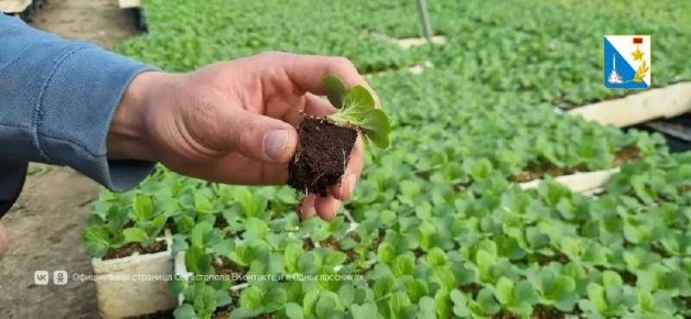 � ��������������� �������� ���������� 260 ����� �������� ������� ��� ������� � �����