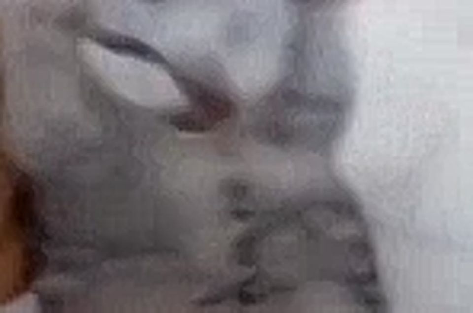 ������� ��������� ���� ��������� �� ����� ��� � ���� �������