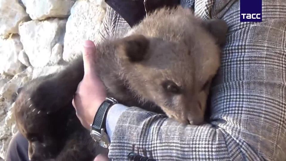 � ����� ������������� ���������� ���� ����� ����� � ������� � ���������� 12-� ��������� ������������� ����� � �������