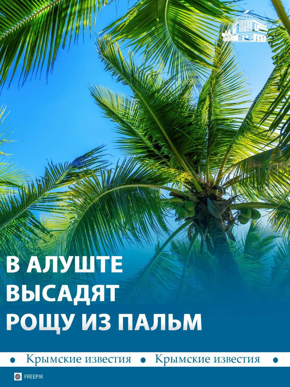 Пальмовую рощу хотят высадить в Алуште