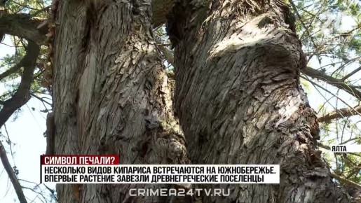 �� ����� ������ ����� �������� �������� ��������