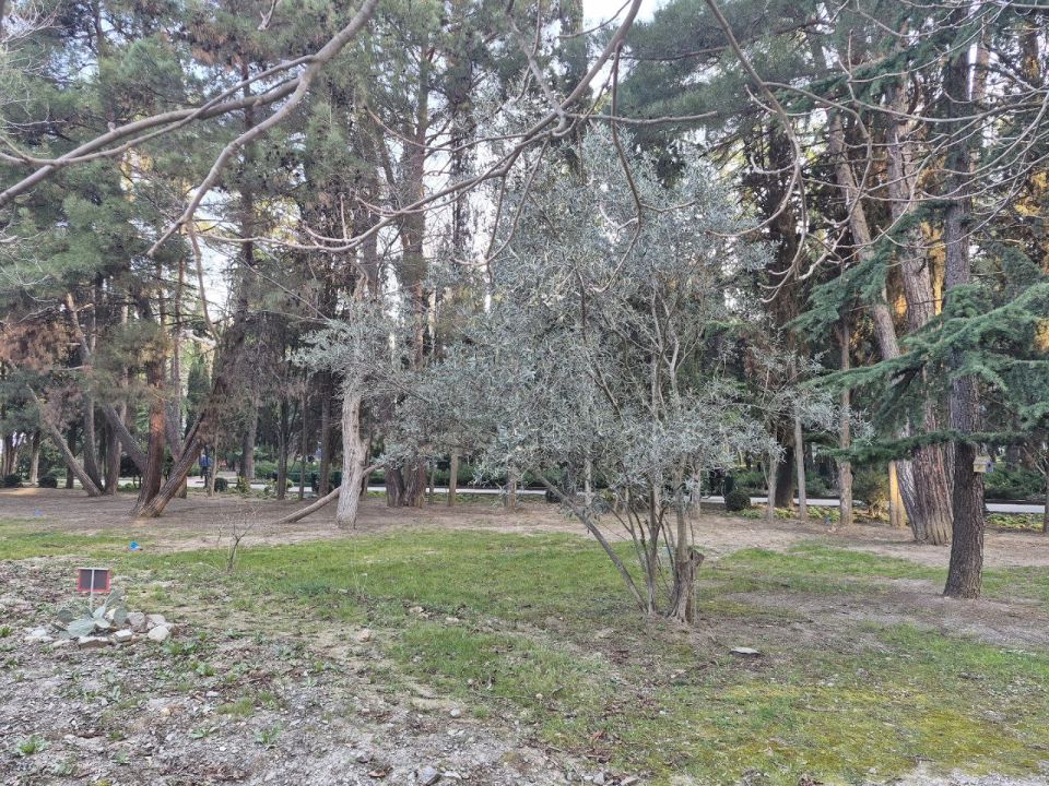 ������ ������: ��������� � ���������� ������