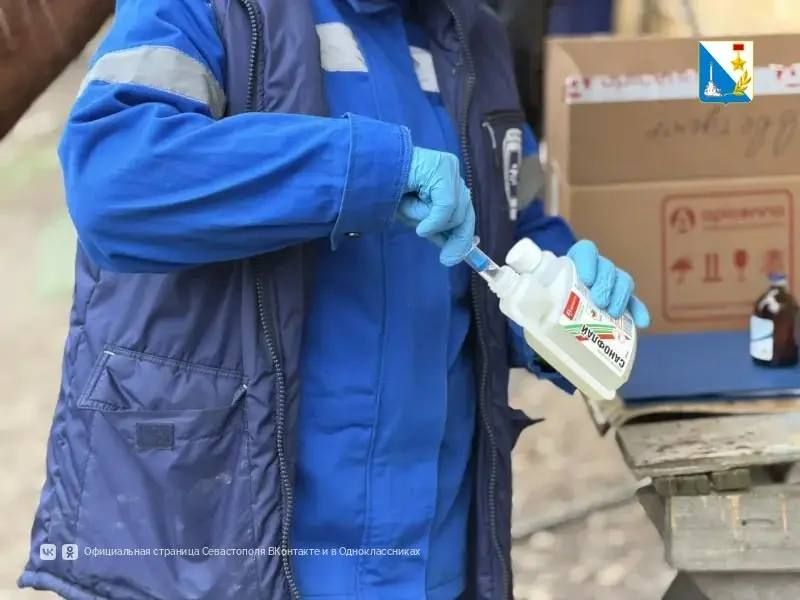 Ветеринары Севастополя начали бесплатную обработку животных от насекомых Ветеринары Севастополя начали бесплатную обработку животных от насекомых