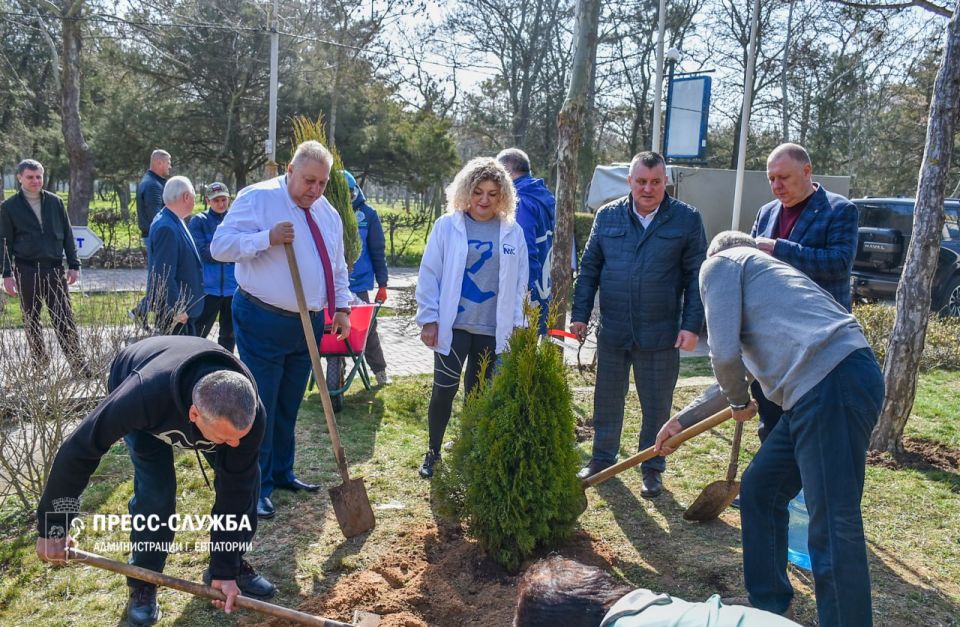 В Евпатории высадили деревья дружбы В Евпатории высадили деревья дружбы