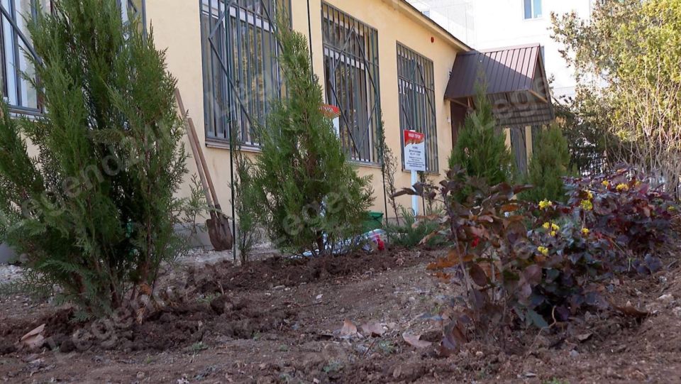 Аллею памяти заложили в Севастопольской школе №32 Аллею памяти заложили в Севастопольской школе №32