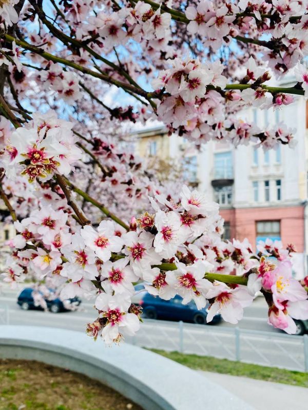 ���� ������: �������� ����� �������� ����� ������ �������, ��� �������� � �����, �������������� � �������� �������