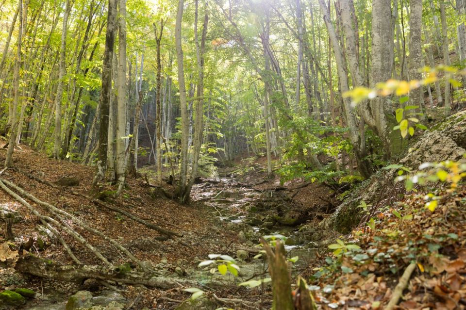 � ����� ��������� �������� �������������� �����