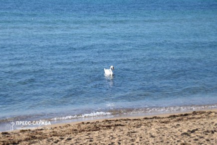 Доброе утро, Евпатория!. Температура воздуха поднимется сегодня до +12°С