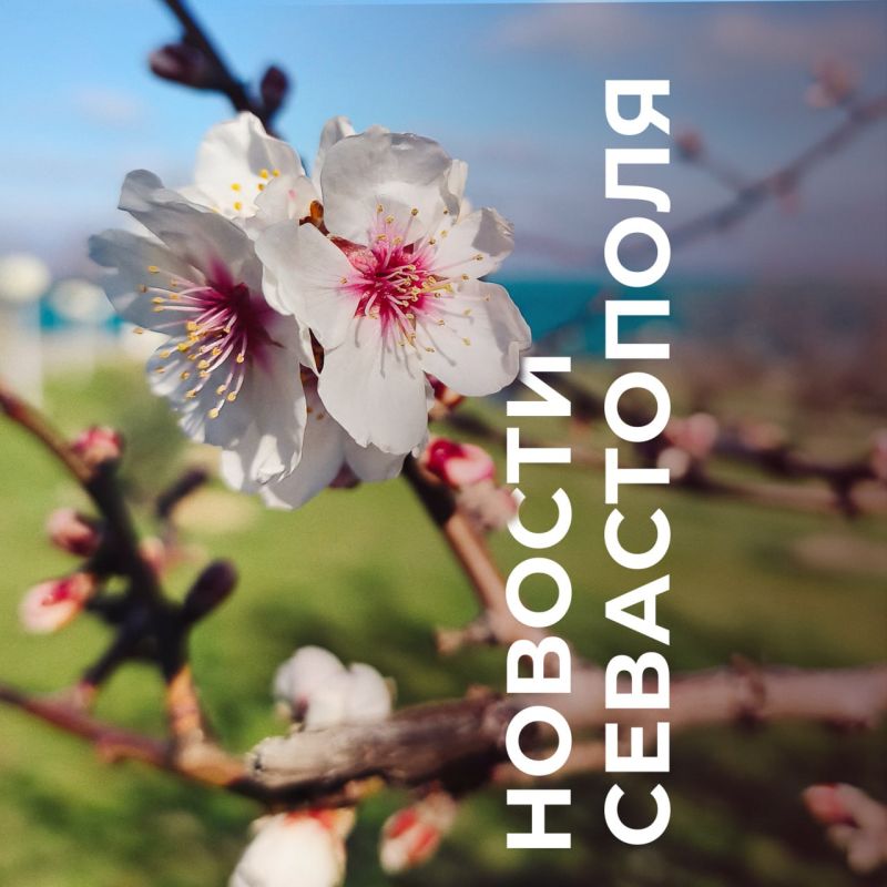 Михаил Развожаев: Коротко о главном:. Поддержка семей: с начала года региональный маткапитал в Севастополе получили почти 300 семей