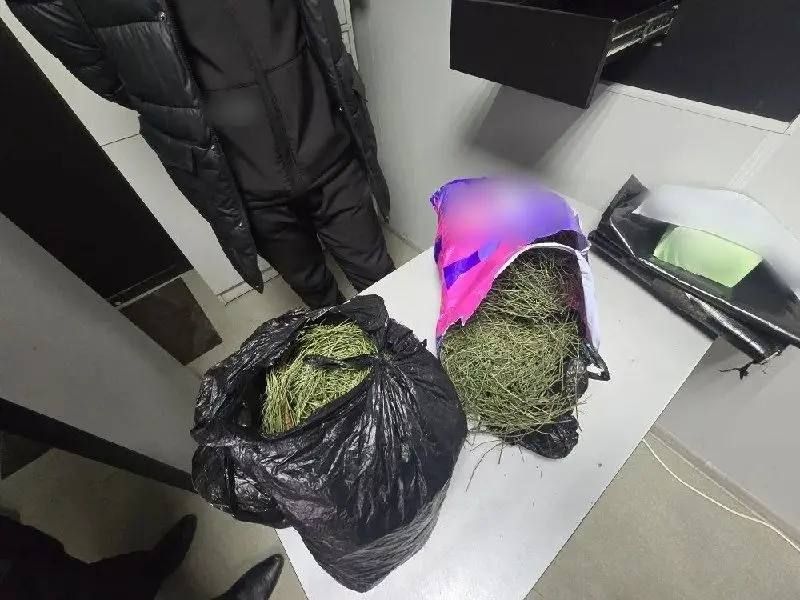 В Красногвардейском районе возбуждено уголовное дело за хранение частей растений, содержащих прекурсоры наркотических средств
