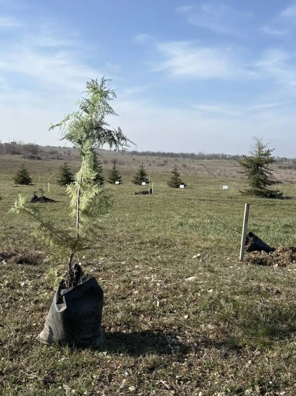 ����������� �������� �������� � ��������� �������� ���������� ���� ��������� �������� ������ ������� � ������� � ������ ������������� ����� ���� ������, ����������� ��� ������������� ����� � �������