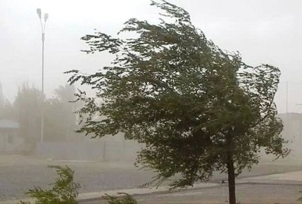 ���������� �������������� � ��������������� ���������������������� �������� �� 19-21 �����