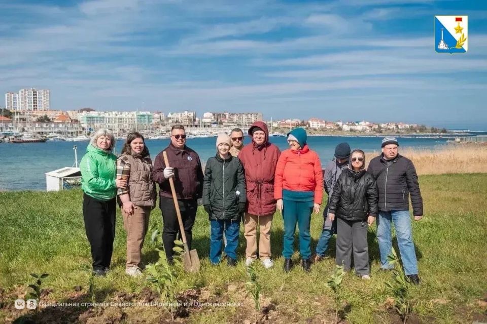 400 деревьев и кустарников уже высадили у центра «Бухта Казачья» 400 деревьев и кустарников уже высадили у центра «Бухта Казачья»