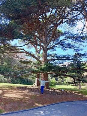 ����� ����������� ������������ ��������-�������������� ��������� ��� ��������� ������������ ���� � �� ������