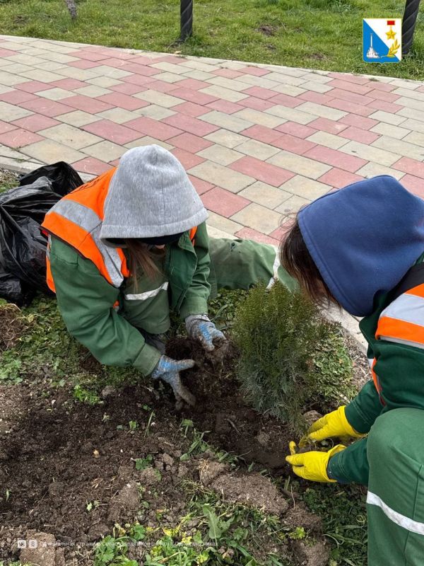 ����� �������� ������ ���������� 35 ������ ������������