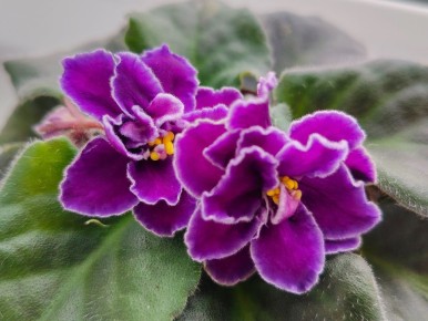 ������ ����, �������!. ����� ���� �������� � ���������, ����������� ������������, � ���������� �������� ��������������