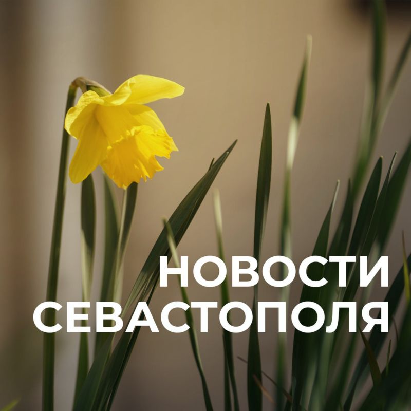 Михаил Развожаев: Коротко о главном:. Доклад Президенту: с арены нового ледового дворца в режиме видеоконференции доложил Президенту Владимиру Владимировичу Путину о развитии Севастополя
