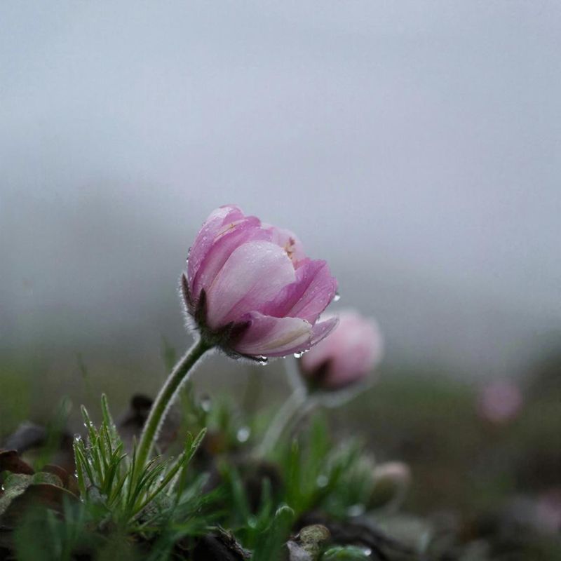 Прогноз погоды в Крыму на 19 марта