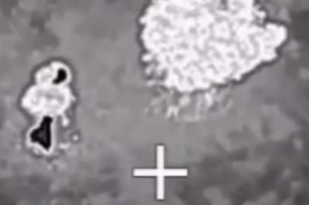 ��� ���� ����� ������: ������ ���� ���� � ���������� ���������� �� �������