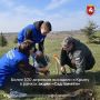 Более 100 деревьев высадили в Крыму в рамках акции «Сад памяти»