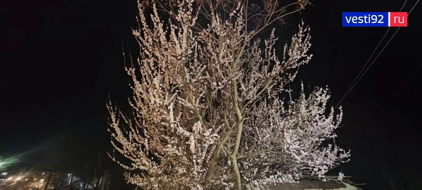 Третья неделя марта завершится весенней прохладой