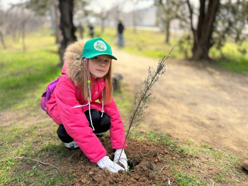Полсотни деревьев высадили севастопольские школьники в парке 35-летия Победы Полсотни деревьев высадили севастопольские школьники в парке 35-летия Победы