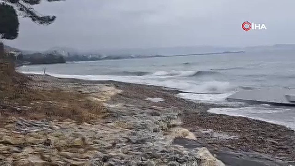 ����������� ����� ������� � ������ ������� ���� � �������� ��������� ����