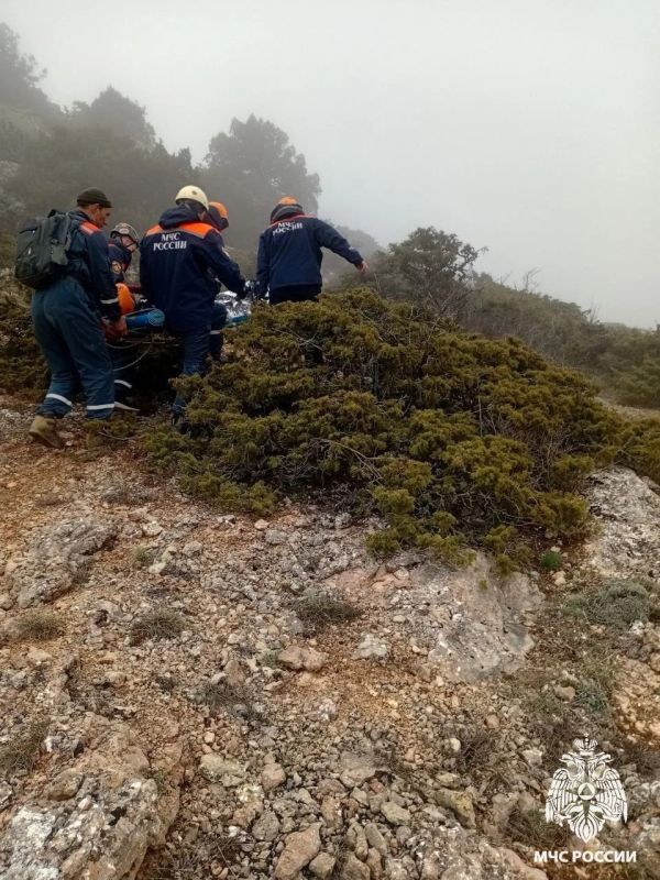 ������� ��������� ���� � �������� �����: ������������� ������ ����������