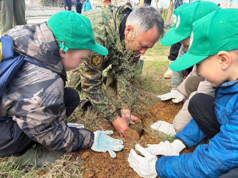 Полсотни деревьев высадили севастопольские школьники в парке 35-летия Победы Полсотни деревьев высадили севастопольские школьники в парке 35-летия Победы