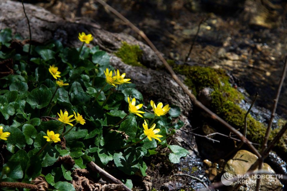 Прогноз погоды в Крыму на субботу