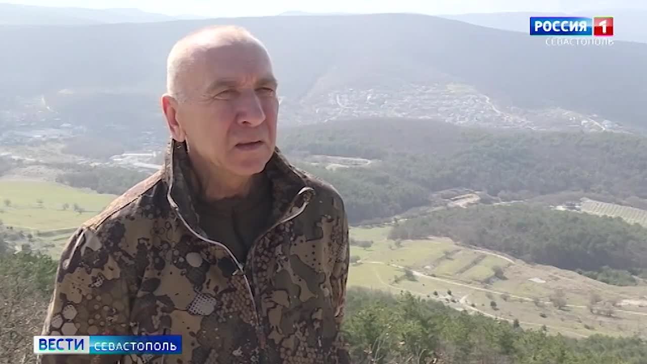 В лесах Севастополя уже провели более 340 рейдов с начала года