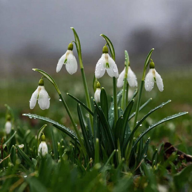 ����� ������ ��� ������� � ������ ����� 21 �����