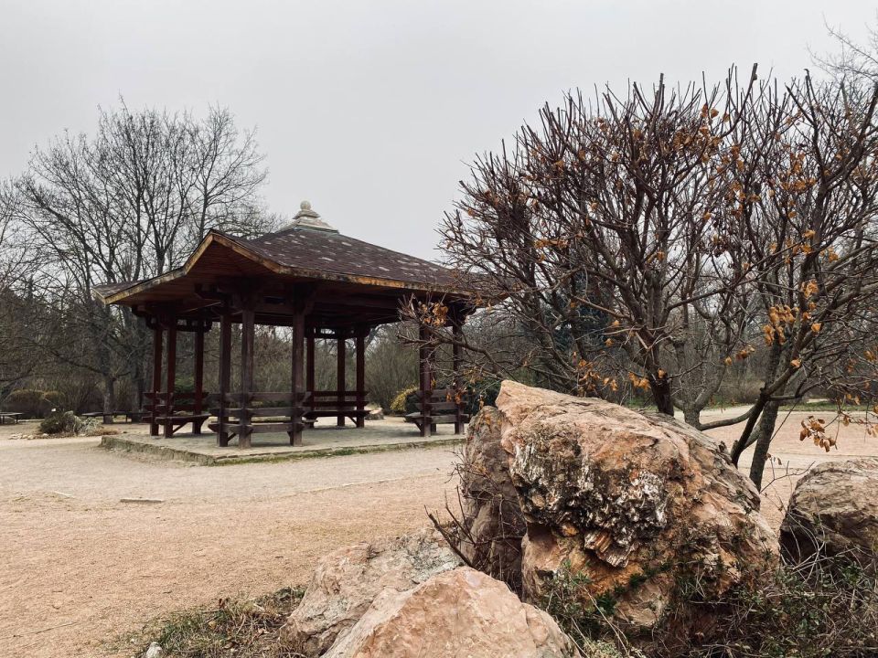 ������ ����, �����������!