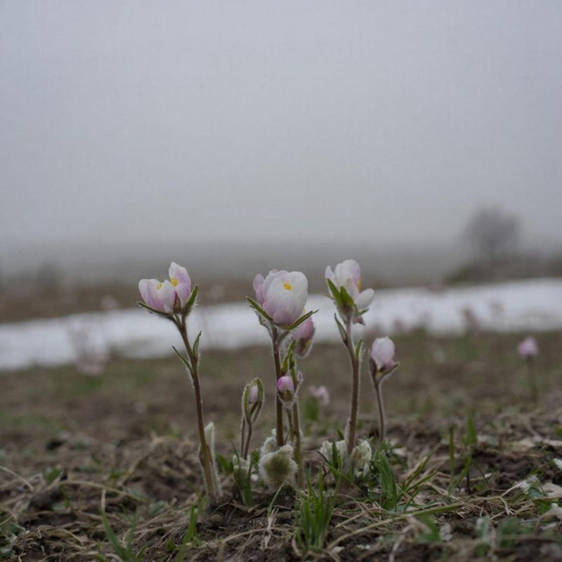 Прогноз погоды в Крыму на 21 марта