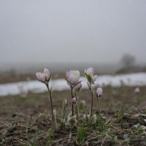 Прогноз погоды в Крыму на 21 марта