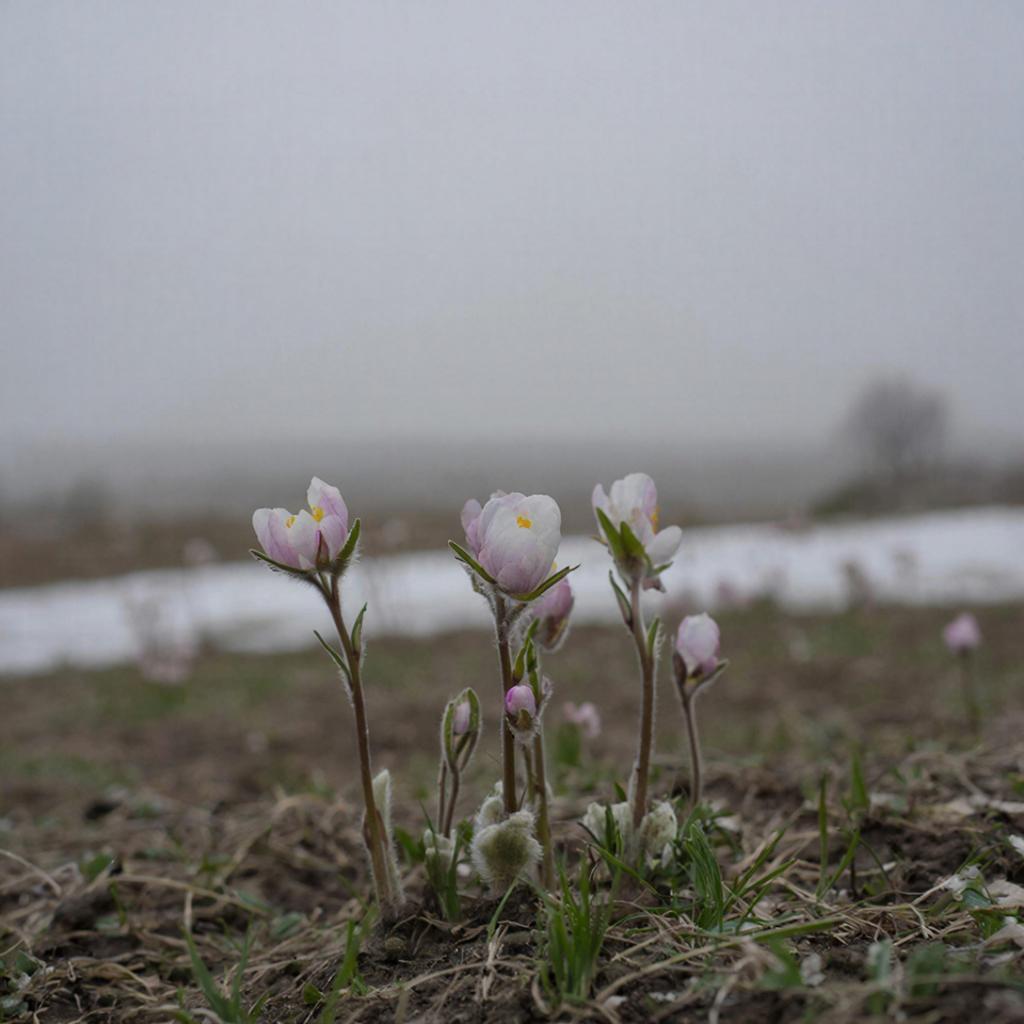 Прогноз погоды в Крыму на 21 марта