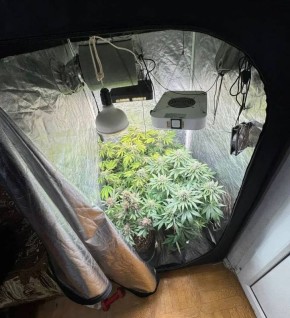 � �������� ����������� ��������� � ��� ��������� ���� � �������� ���������