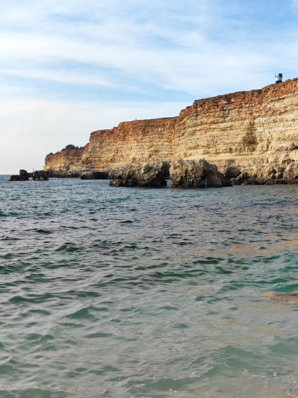 ����������� ������� ������� ����� � �����������