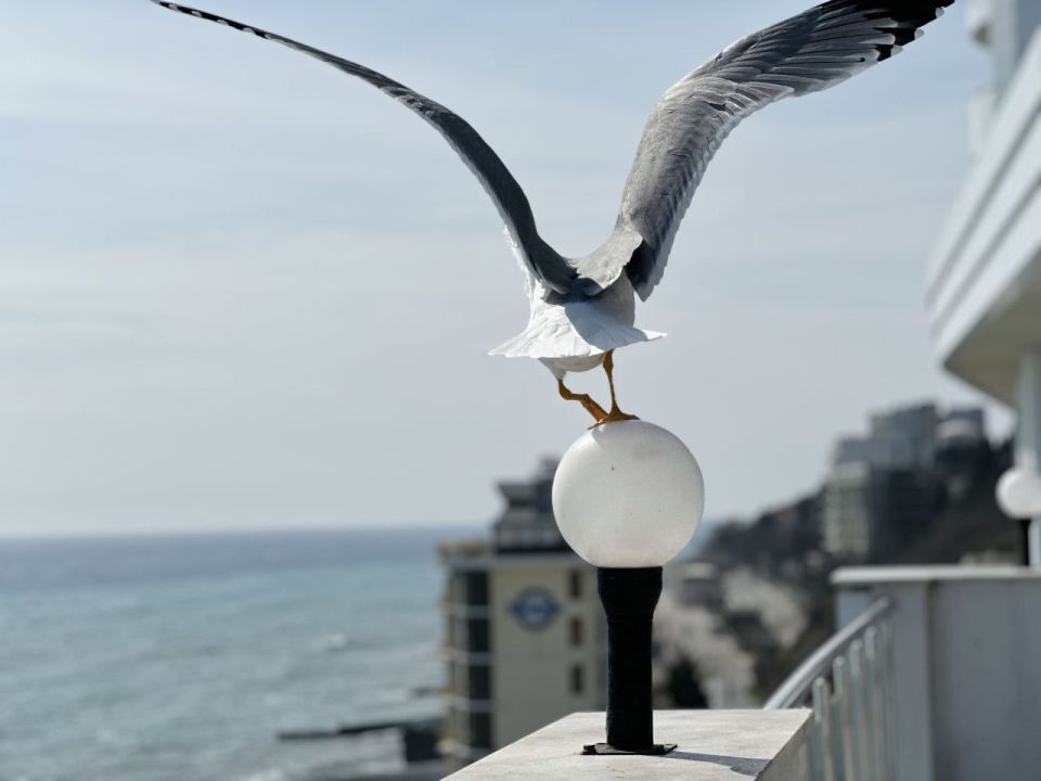 �������� �������������, �� ����� ������ �� ��� �����, �������� � ������� ����, �������� � ������ ��������, ���������� � �������