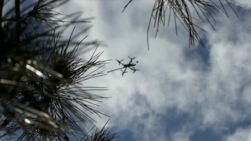 Российские дроноводы громят вражеские БПЛА ВСУ в небе над Херсонской областью