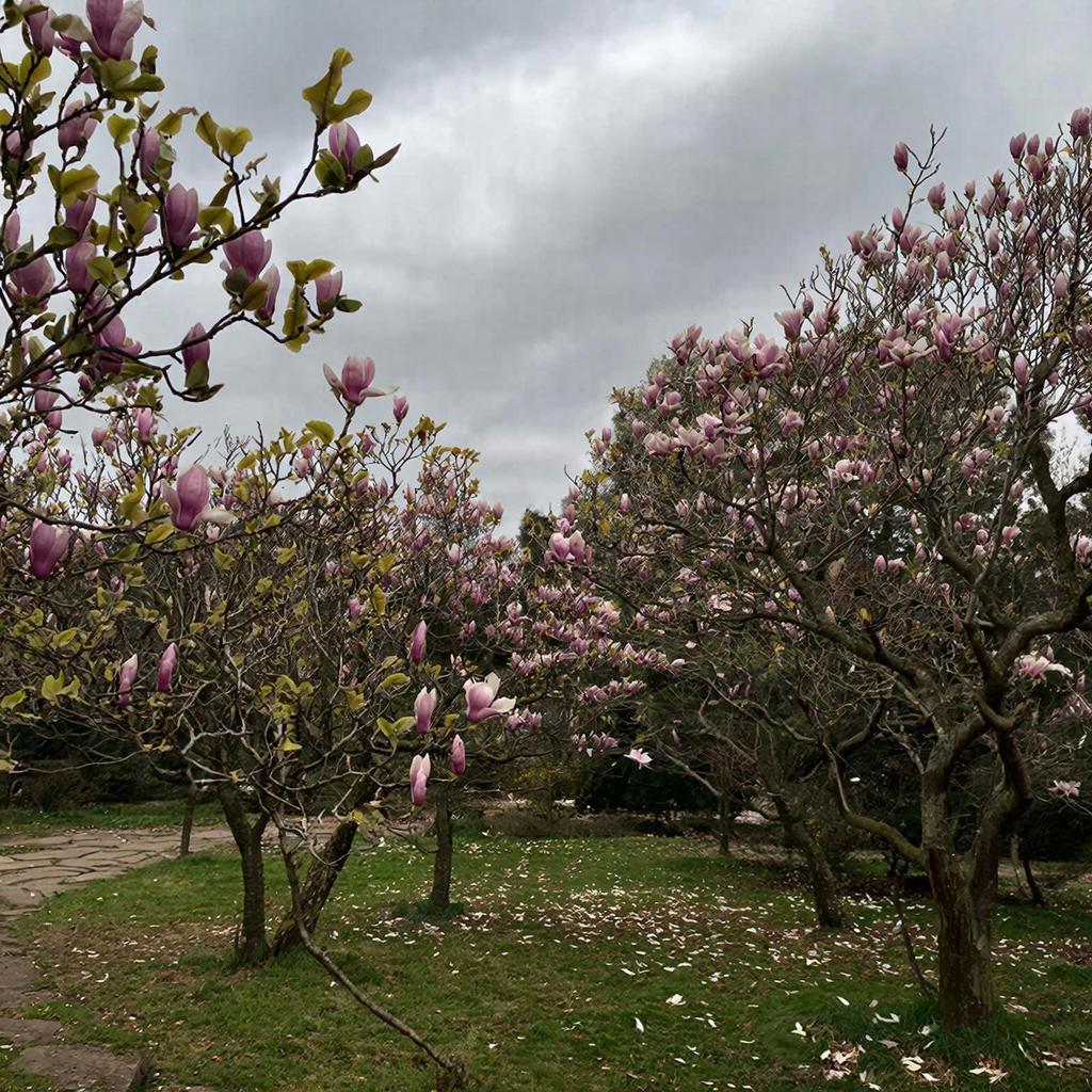Какая погода ждёт жителей и гостей Крыма 22 марта