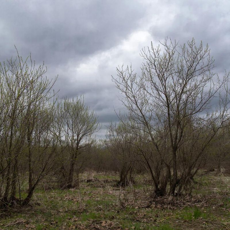 Прогноз погоды в Крыму на 22 марта